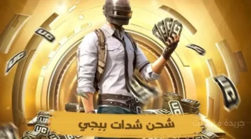 82800 شدة مجانًا.. أحدث طريقة لـ شحن شدات ببجي 2024 والحصول على بدلات وأسكنات نادرة 1